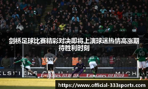 333体育官网