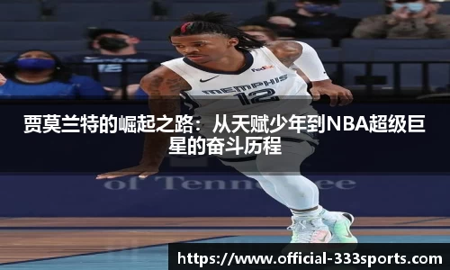 333体育官方网站