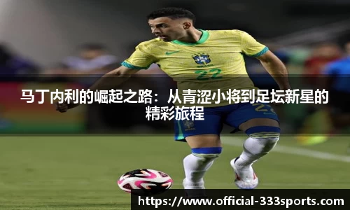 333体育平台