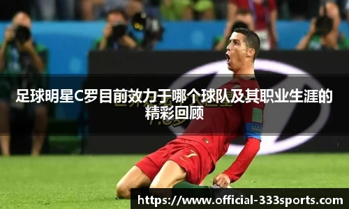 333体育官方网站